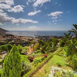 Quinta Funchal Gardens - Adults Only